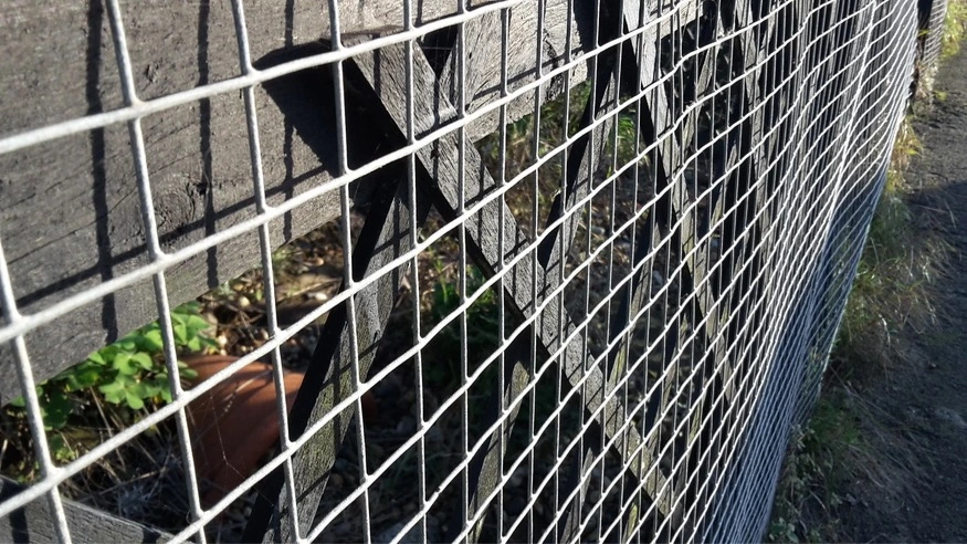 Electrowelded fence meshes