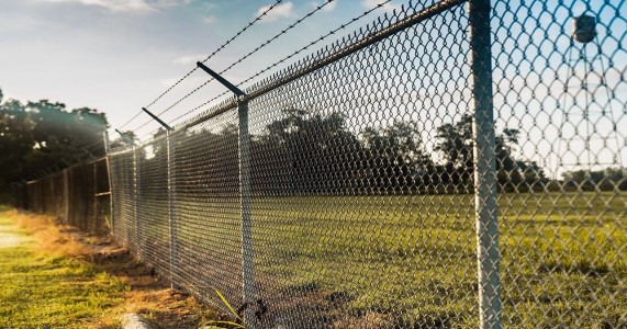 Barbed wire