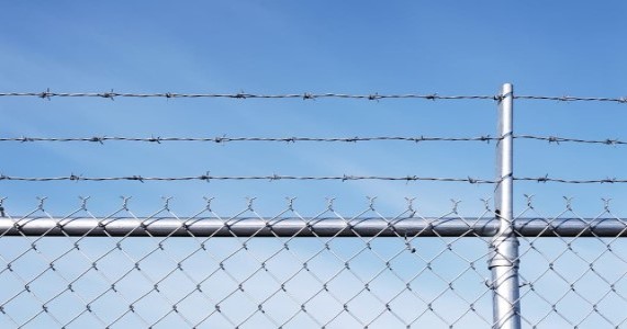 Barbed wire